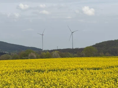 Foto des Albums: Hamelspringe hin und zurück