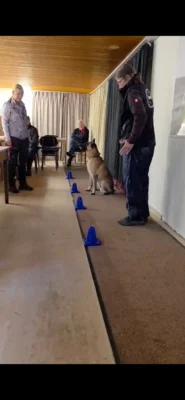 Indoortraining  (Bild vergr&ouml;&szlig;ern)