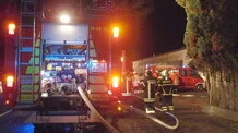 feoe2k  (Bild vergr&ouml;&szlig;ern)