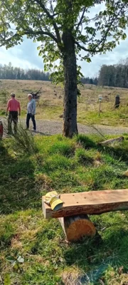 Foto des Albums: Steinkopfschleife
