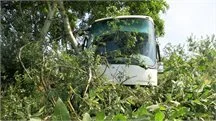 hl-bus 11  (Bild vergr&ouml;&szlig;ern)