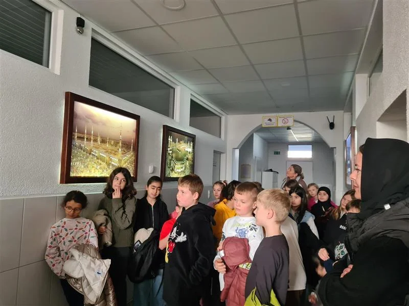 Bild der Galerie