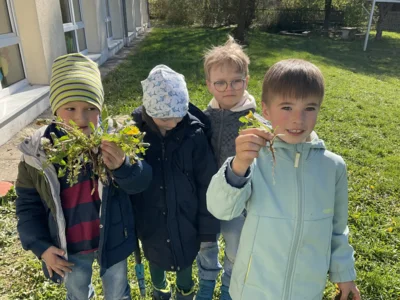 Foto des Albums: Löwenzahn