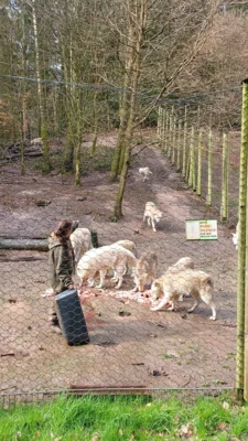 Foto des Albums: Wolfspark Yutz 2026