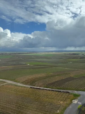Blick auf die Weinberge der Champagne  (Bild vergr&ouml;&szlig;ern)