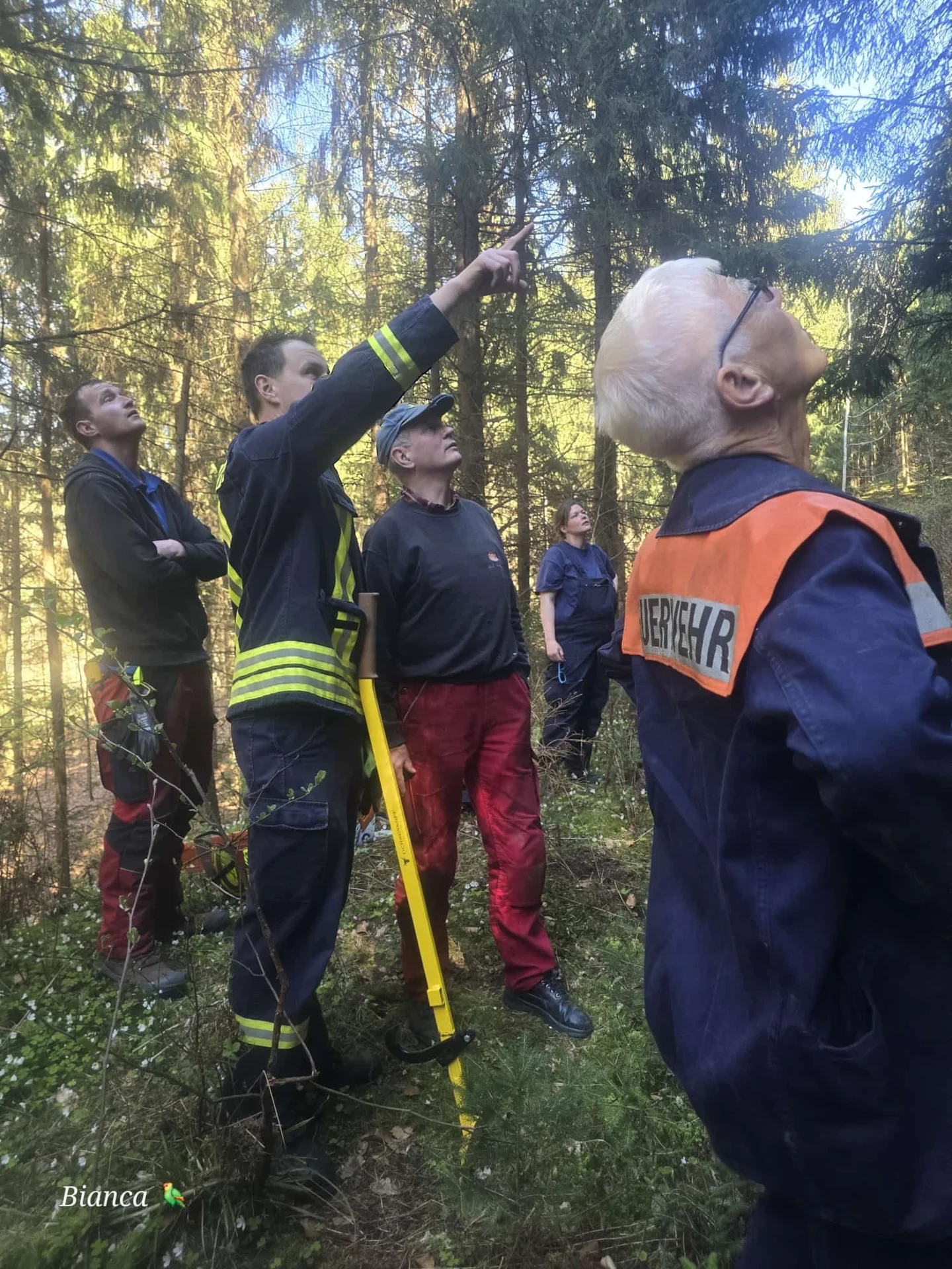 Bild: Vorraustrupp sucht den Baum
