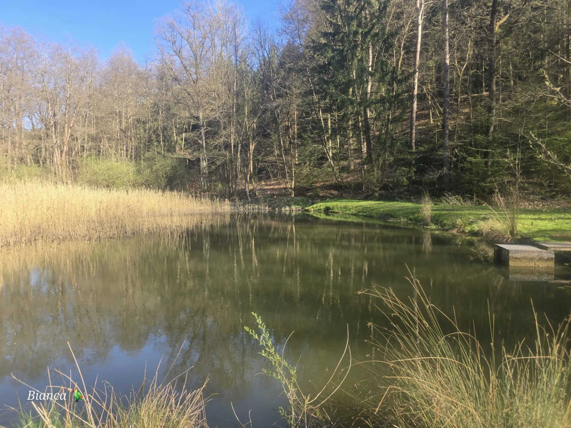 Bild: in schöner Landschaft