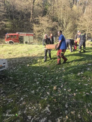 Foto des Albums: 2026-04-23_Einholung Maibaum