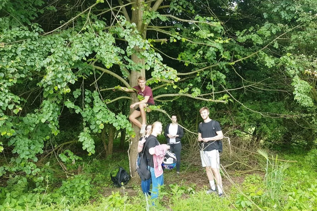 Bild: Ausflug der Stufe 12 in den heimatlichen Wald Beweisfoto 1: Schüler im Baum.