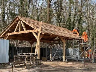 Foto des Albums: Schulgarten