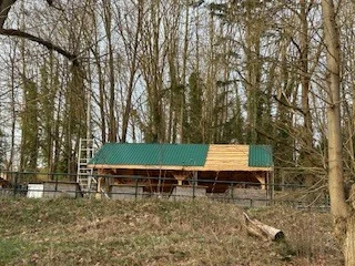 Foto des Albums: Schulgarten