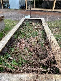 Foto des Albums: Schulgarten