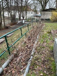 Foto des Albums: Schulgarten