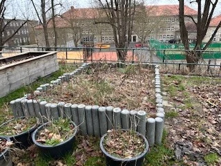 Foto des Albums: Schulgarten