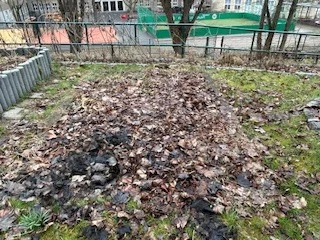 Foto des Albums: Schulgarten
