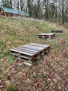 Foto des Albums: Schulgarten