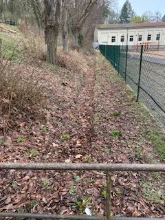 Foto des Albums: Schulgarten