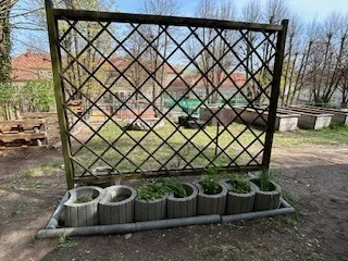 Foto des Albums: Schulgarten