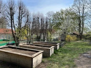 Foto des Albums: Schulgarten