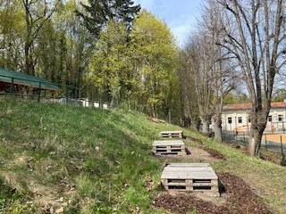 Foto des Albums: Schulgarten
