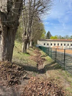 Foto des Albums: Schulgarten