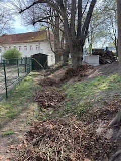 Foto des Albums: Schulgarten