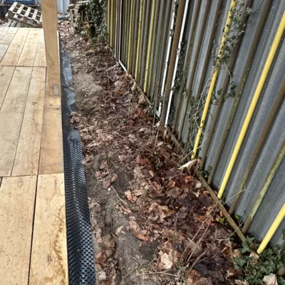 Foto des Albums: Schulgarten