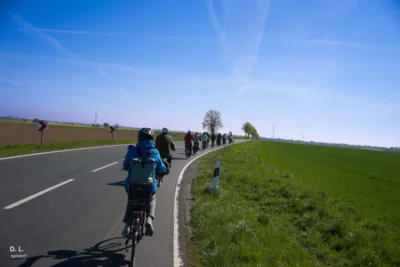 Hinter Bennigsen - sch&ouml;n in Reihe  (Bild vergr&ouml;&szlig;ern)