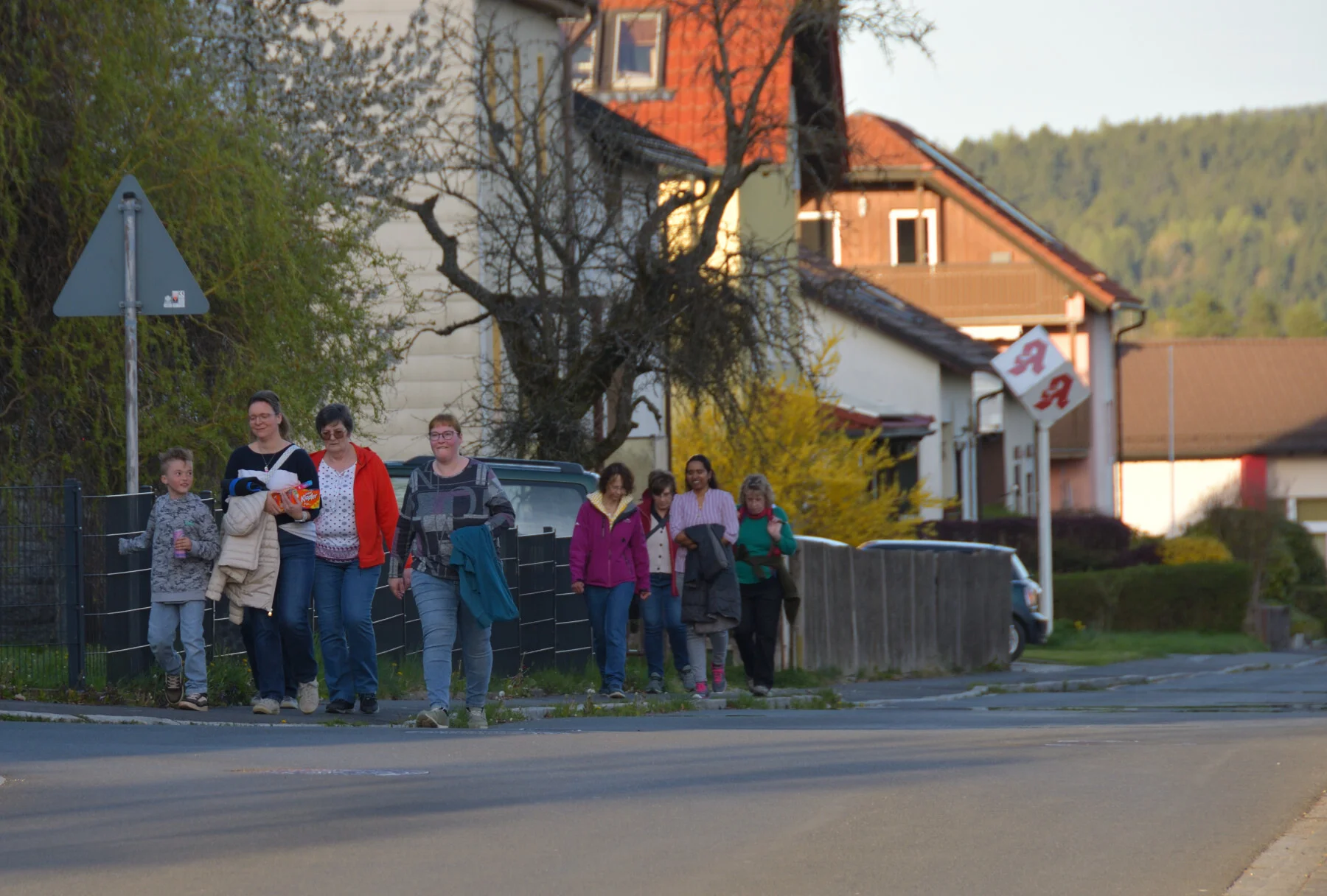 Bild der Galerie