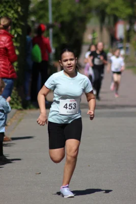 Foto des Albums: 27. Ankumer Dorflauf 2026