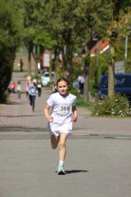 Foto des Albums: 27. Ankumer Dorflauf 2026