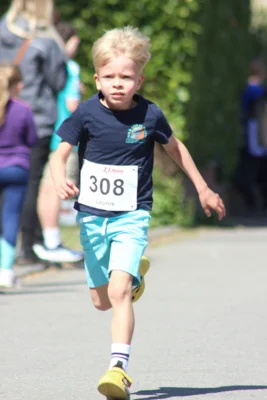 Foto des Albums: 27. Ankumer Dorflauf 2026
