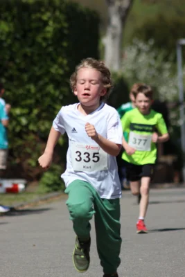 Foto des Albums: 27. Ankumer Dorflauf 2026