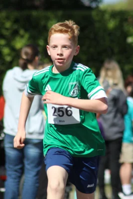 Foto des Albums: 27. Ankumer Dorflauf 2026