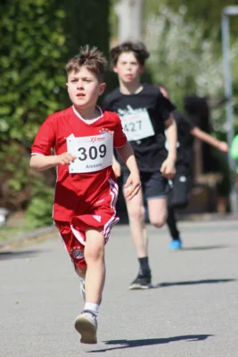Foto des Albums: 27. Ankumer Dorflauf 2026