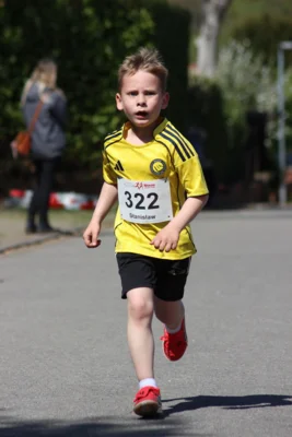 Foto des Albums: 27. Ankumer Dorflauf 2026