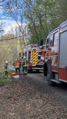 Foto des Albums: Waldbrandübung