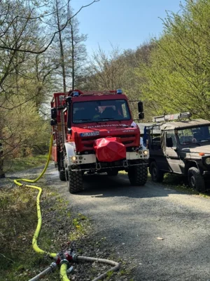 Foto des Albums: Waldbrandübung