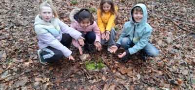 Foto des Albums: Waldtag Jahrgang 3
