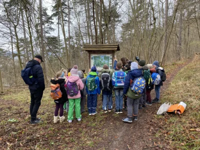 Foto des Albums: Waldtag Jahrgang 3