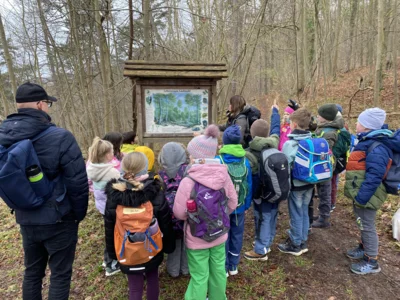 Foto des Albums: Waldtag Jahrgang 3