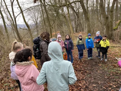Foto des Albums: Waldtag Jahrgang 3