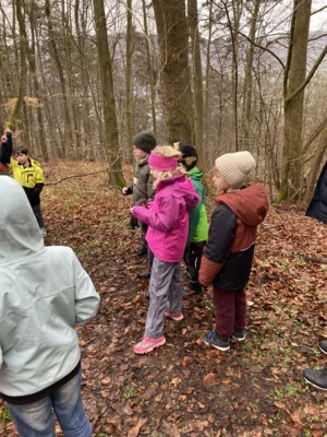 Foto des Albums: Waldtag Jahrgang 3