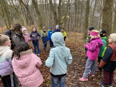 Foto des Albums: Waldtag Jahrgang 3