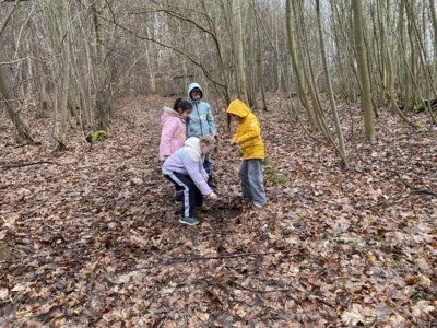 Foto des Albums: Waldtag Jahrgang 3