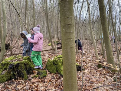 Foto des Albums: Waldtag Jahrgang 3