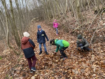 Foto des Albums: Waldtag Jahrgang 3