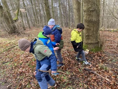 Foto des Albums: Waldtag Jahrgang 3