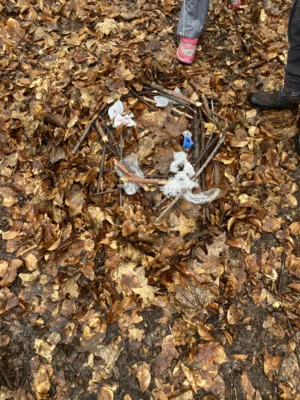 Foto des Albums: Waldtag Jahrgang 3