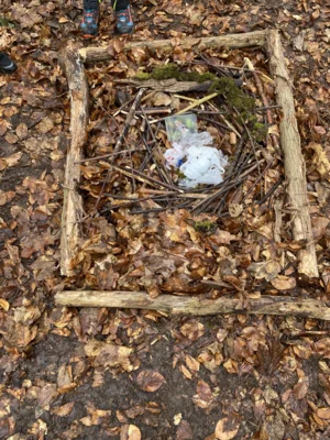 Foto des Albums: Waldtag Jahrgang 3